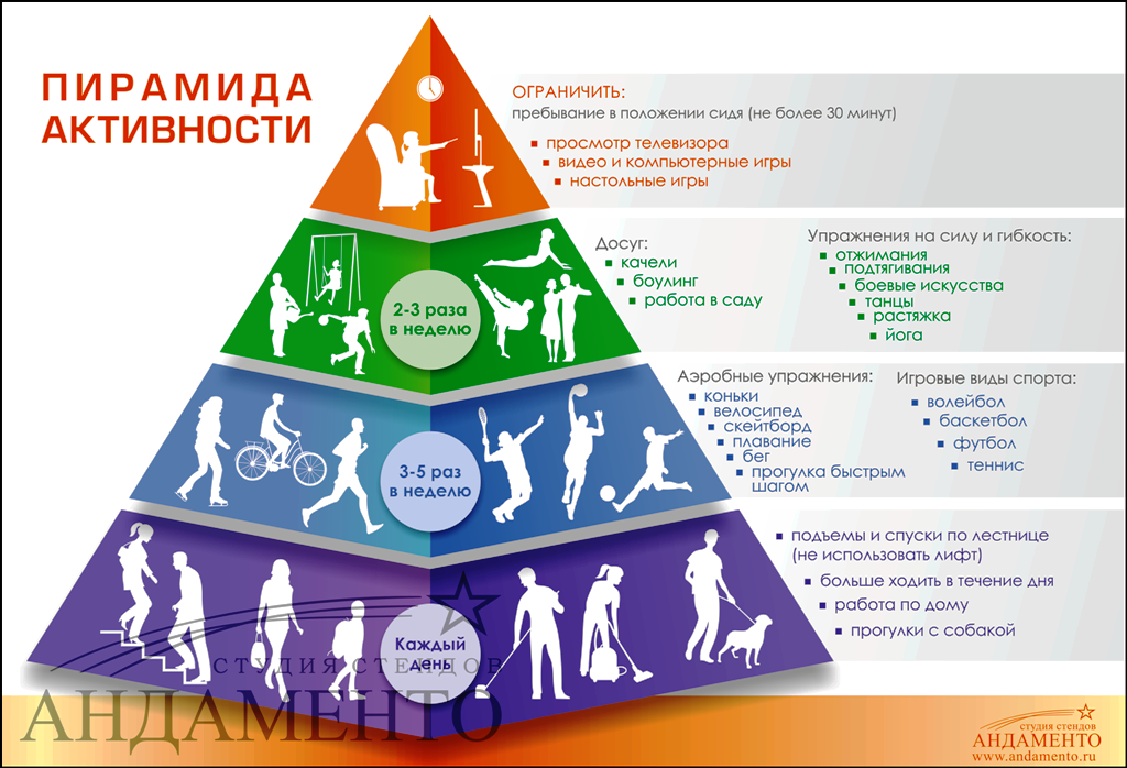 stend piramida fizicheskoj aktivnosti