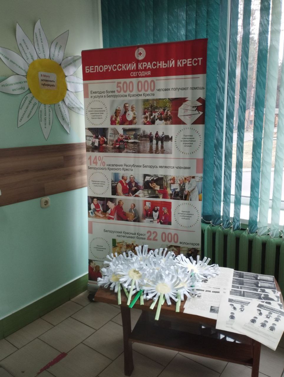 belaia romashka 1jpg