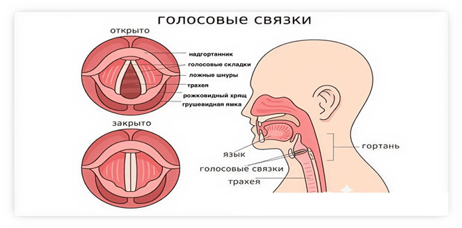 n 3 080426 1
